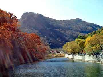 澳门期期准免费精准，湖南黑山羊价格